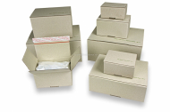 Cajas automontables con papel de hierba | Paisdelossobres.es