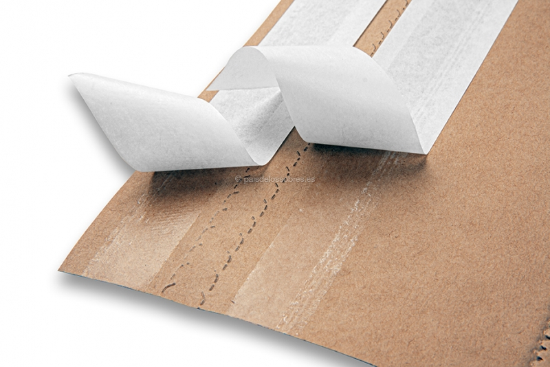 Bolsas de papel autoadhesivo? Paisdelossobres.es